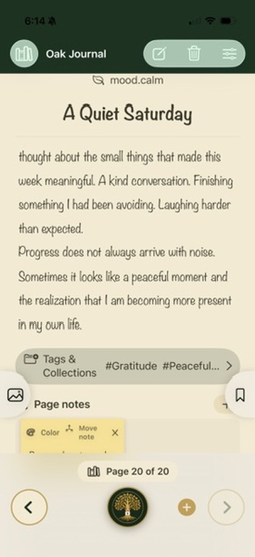Write What Matters app screenshot